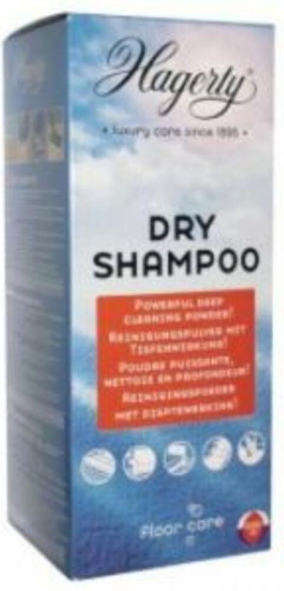 Hagerty Dry Shampoo