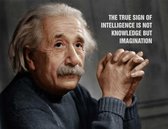 Albert Einstein Canvas 70 x 50 cm - The true sign of intelligence is not knowledge but imagination - 100% katoen incl. Frame