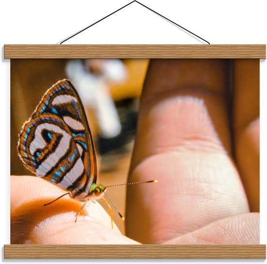 Schoolplaat – Vlinder op Hand - 40x30cm Foto op Textielposter (Wanddecoratie op Schoolplaat)