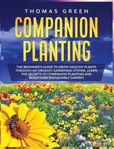 Companion Planting