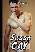 Sesso Gay