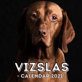 Vizslas