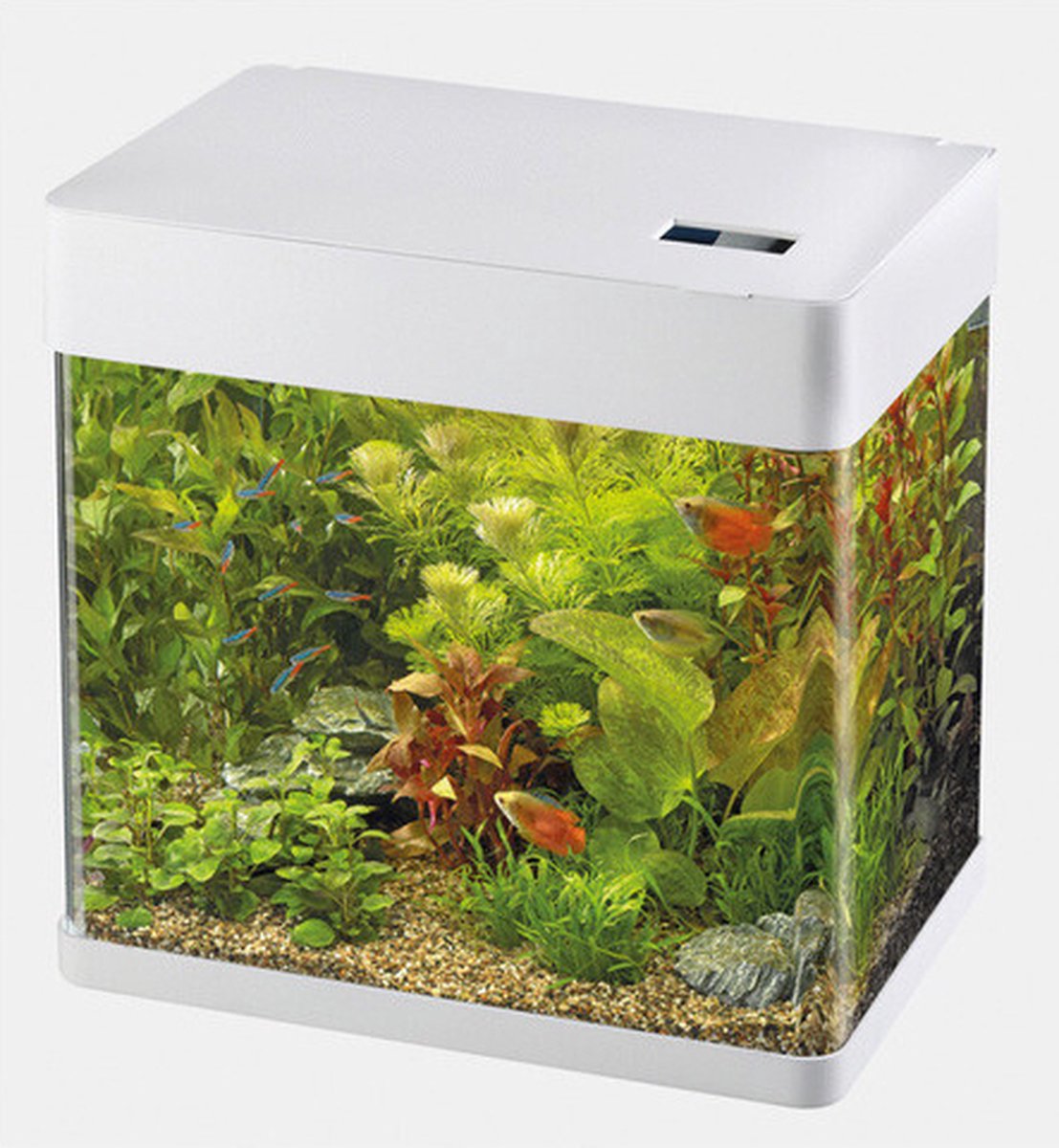 Bol.com Panorama Aquarium - 32x23x35.5 cm - 20L - Wit aanbieding