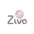 Ziva Sous-vide kokers