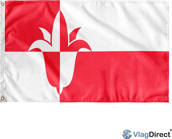 VlagDirect - Drapeau Bernheze - Drapeau de la municipalité de Bernheze - 90 x 150 cm.