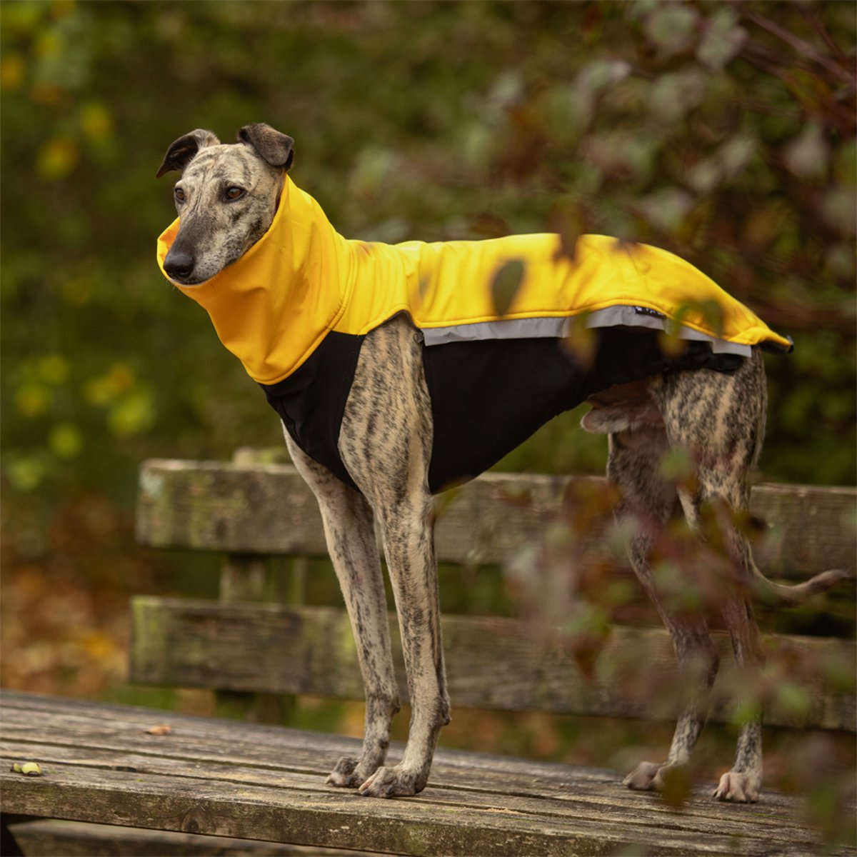 De Fleece Hond Jumpsuit Warme Hondenkleding Winter... – Vicedeal