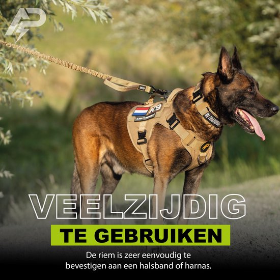 Bruine Mechelse herder met beige tuigje, lijn en flexibele riem in een groene omgeving.