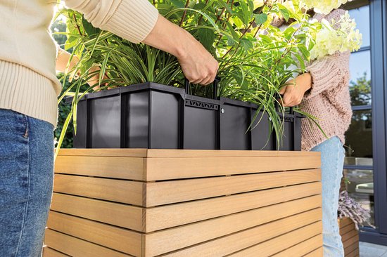 LECHUZA PALO natural wood 80 wide high - Plantenbak - met uitneembare binnenbak - met bewateringssysteem - ALL-IN-ONE set met LECHUZA-PON - FSC® 100% eucalyptus hout