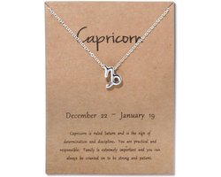 Bixorp Stars Steenbok / Capricorn Ketting - Zilverkleurige Ketting op Cadeau Kaartje - Sterrenbeeld / Zodiac Hanger