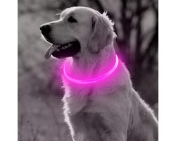 LED Halsband Hond - Lichtgevende Halsband Hond - Roze - S - USB Oplaadbaar