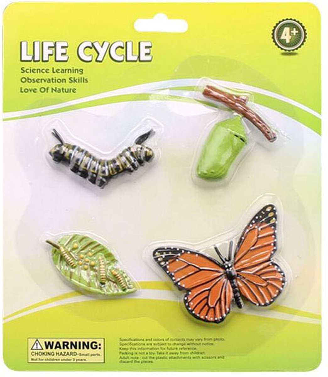 Levenscyclus Vlinder Speelfiguren Set