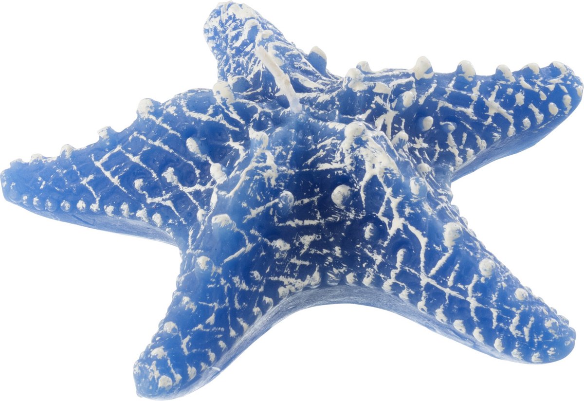 J-Line kaars Zeester - azuur - small - 2U