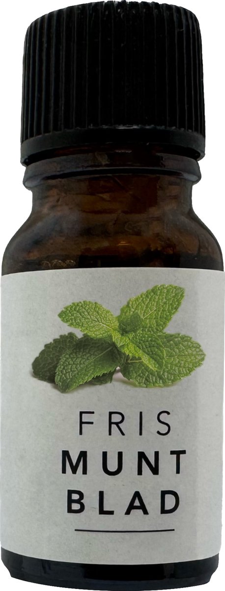 Goedkoopste Munt Geurolie - 100 Natuurlijk - Voor Diffuser en Oliebrander - Verfrissend en Natuurlijk Aroma - 3BMT®
