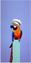 Poster 80x160 cm - Papegaai - Koksmuts - Vogel - Leuk - Posters - Wanddecoratie keuken - Muurdecoratie woonkamer - Decoratieve accessoires - Kamer muur decoratie