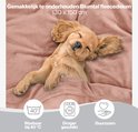Een slapende puppy op een oud roze Blumtal fleecedeken, met was- en drooginstructies.