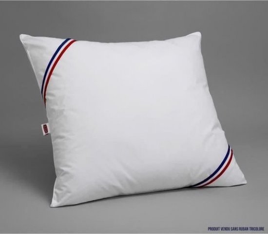 Homescapes Kussen 60 X 60 Cm, Veren- En Donzen Kusse Met 70 Ganzendons 1129534304
