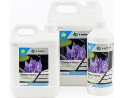Moerings Natuurlijk Phosphate Balance 1 Liter