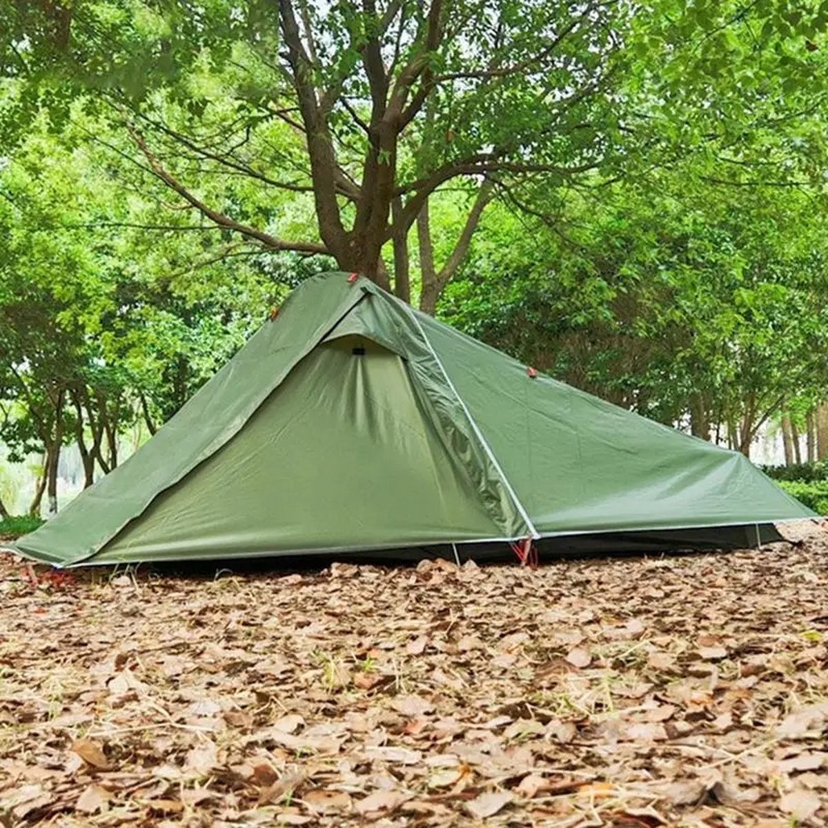 DHN Kampeer Tent - Ultralichte Camping Tunnel Tent - Waterdicht 2 Personen Tent - Draagbare Backpacking Tent - Groen
