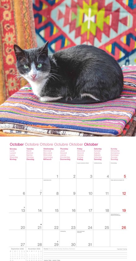 Toilets Around The World 2026 - Wand-Kalender - Broschüren-Kalender