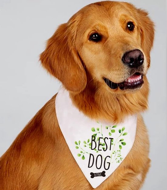Foto: Honden bandana best dog wit met zwarte tekst hondenbot en bladeren hond huisdier bandana best dog huwelijk bruiloft trouwen