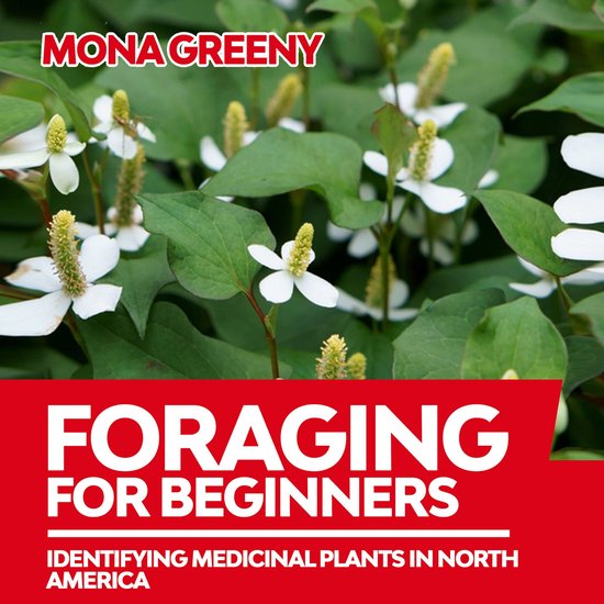 Foraging For Beginners - cover