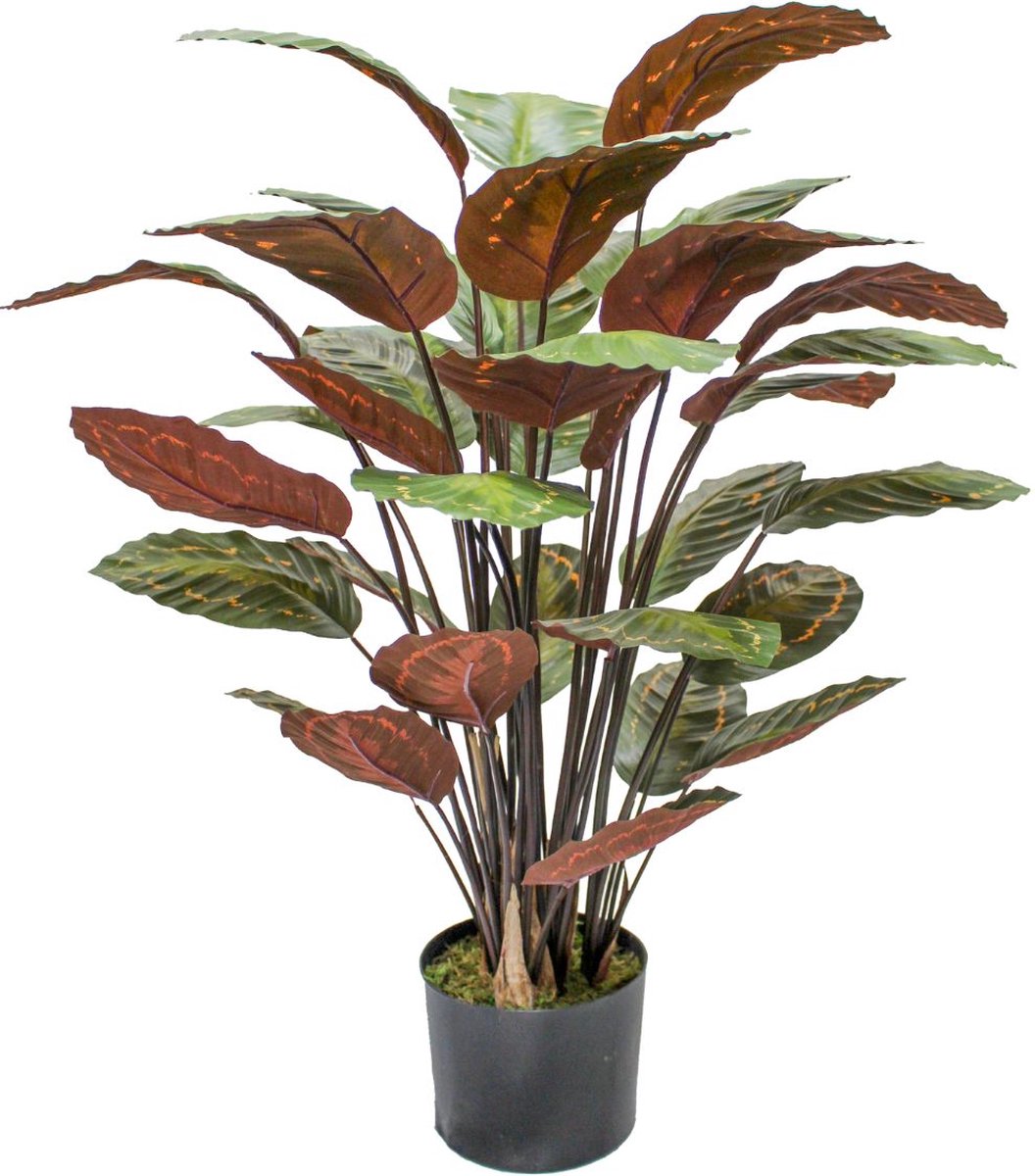 Calathea Kunstplant 90cm