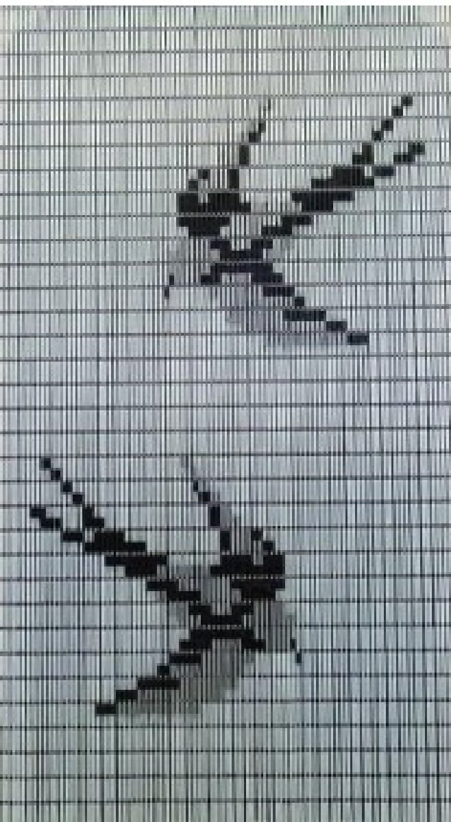 Deurgordijn Havana Swallow 100 cm x 230 cm
