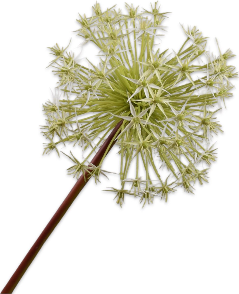 Silk-ka Kunstbloem-Zijden Bloemen Allium Steel Wit 104 cm