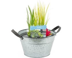 Moerings Terrasvijver Zink Blanco
