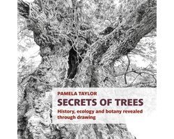 Botanical Art Portfolios- Secrets of Trees