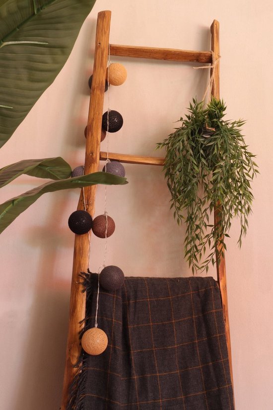 Een groene hangplant met lange, slanke bladeren, hangend aan een houten ladder naast een plant.