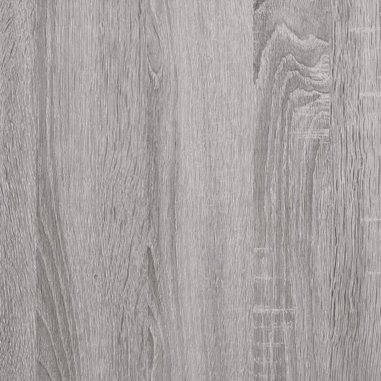 Meuble à chaussures The Living Store - Chêne Sonoma Grijs - 100 x 35 x 38 cm - Bois d'ingénierie