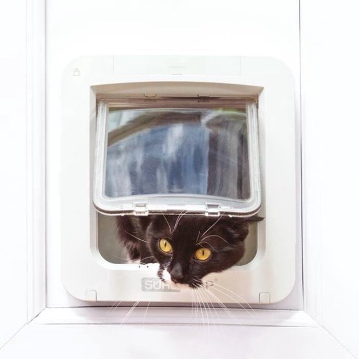 Sureflap Microchip Huisdierluik Connect - Kattenluik thumbnail 6