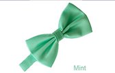 ProductGoods -  Luxe Vlinderdas | bow tie | Mint | Vlinderdas