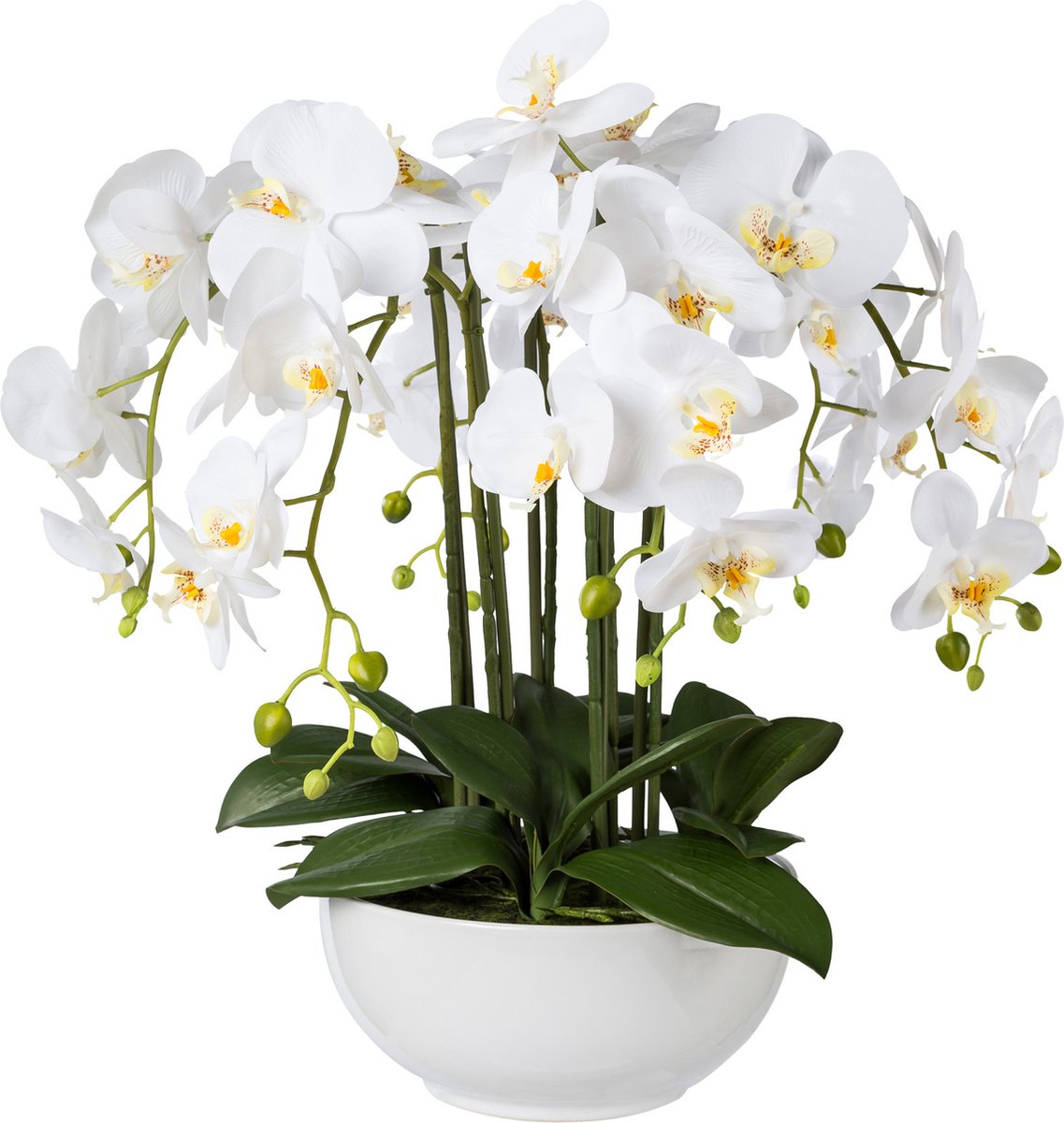 Kopu Kunstbloem Orchidee 54 cm Wit met Schaal - Phalenopsis