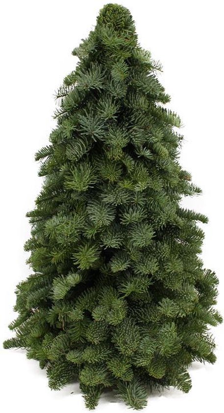 De Nobilis Kerstboom , Compacte Vorm, Kerst 60cm