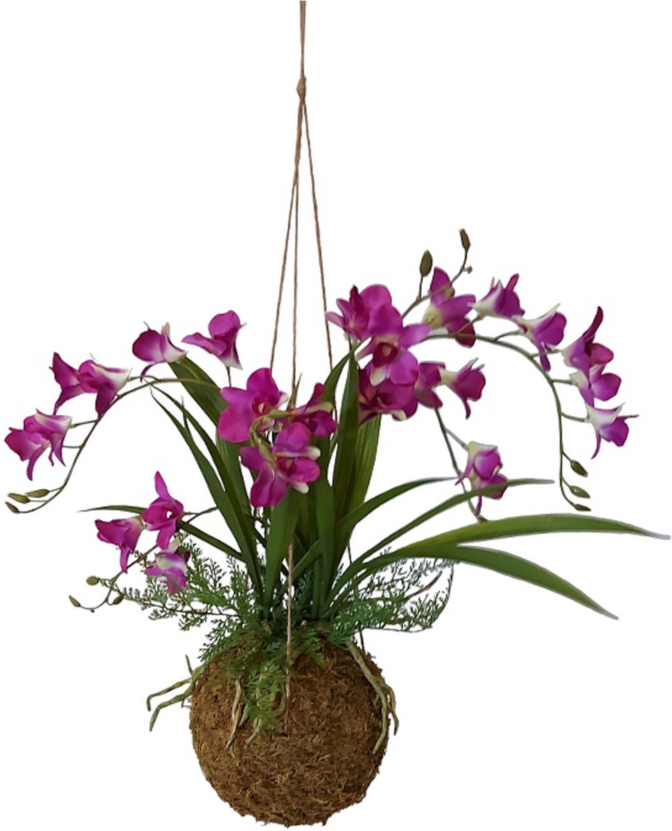 Kunstpalm Kunst Kokodama Orchidee Fucsia | 50cm - Namaak Kokodama Orchidee - Kunstplanten voor binnen - Kunstplant orchidee Fucsia Donkerroze