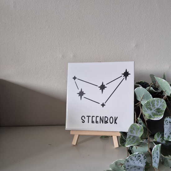 Sterrenbeeld Poster l Minimalistic Wall art l Sterrenbeeld print l
