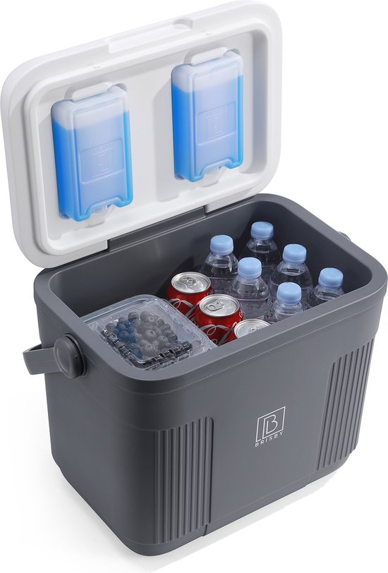 Grijze koelbox met witte deksel open, gevuld met flessen water, blikjes en een bakje blauwe bessen.
