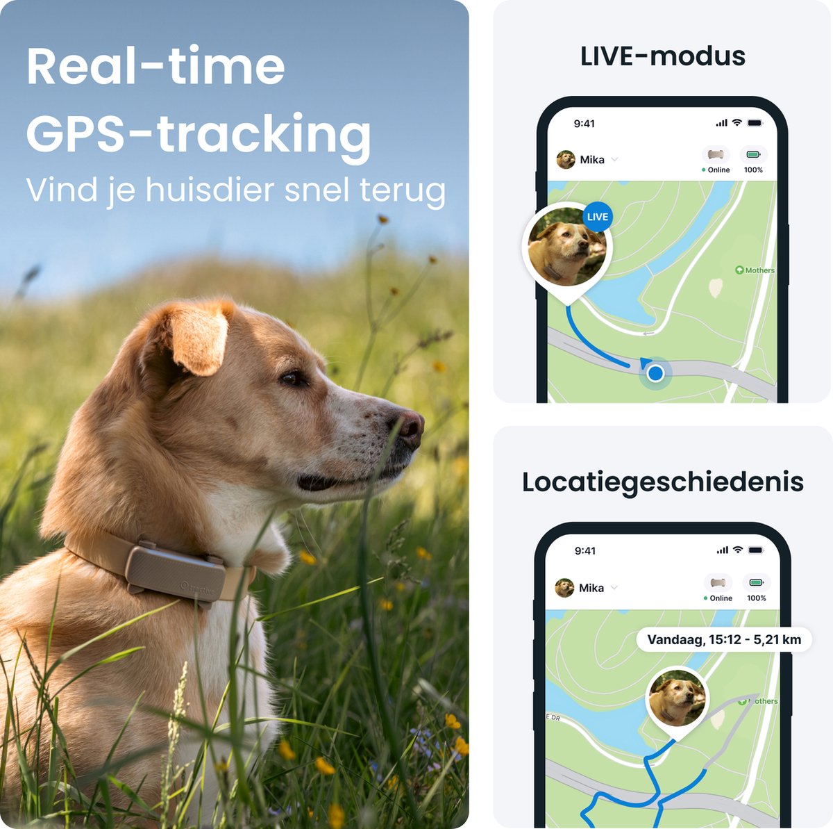 Tractive DOG 6 - Bruin thumbnail 3