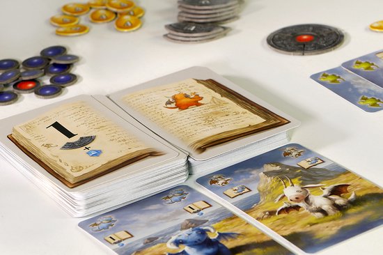 Kaarten met draken, boeken en spelonderdelen.