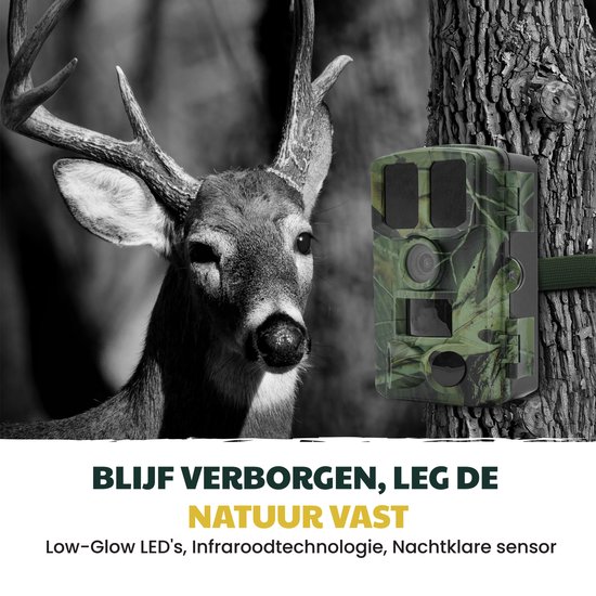 Caméra De Chasse HAZA 36MP HD - Infrarouge Vision Nocturne Étanche - Détection Animaux