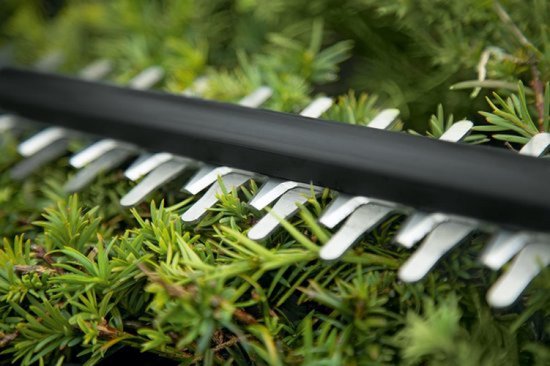 Gedetailleerd beeld van de getande messen van een groene en zwarte heggenschaar.