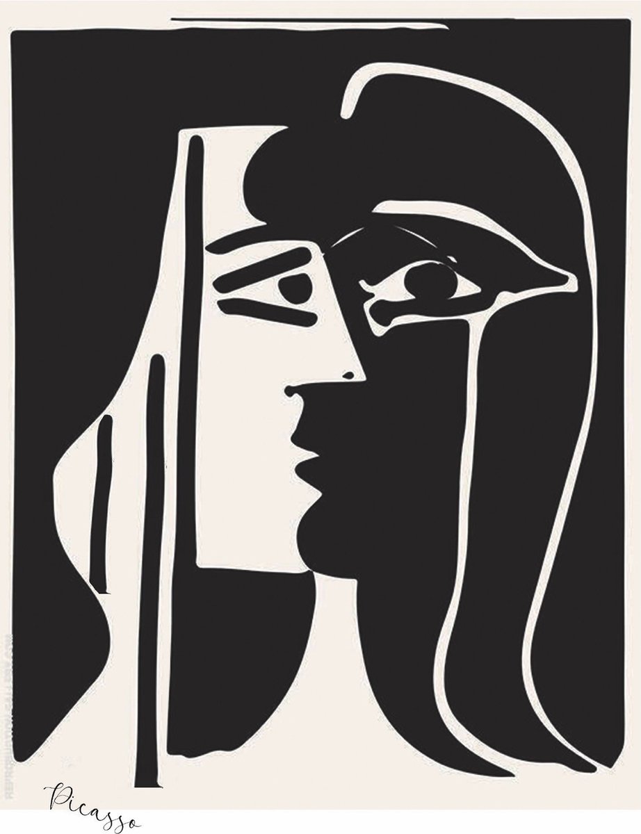 Picasso- Kristal Helder Galerie kwaliteit Plexiglas 5mm.- Blind Aluminium Ophang-frame- Fotokunst- luxe wanddecoratie- Akoestisch en UV Werend- inclusief verzending