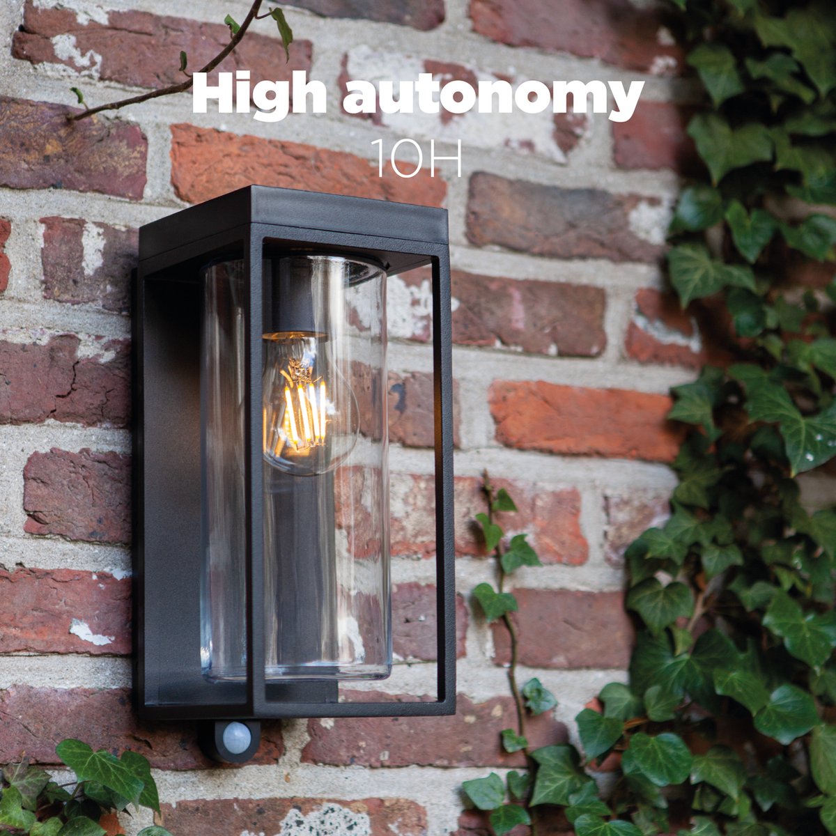 Lutec Flair - Solar wandlamp voor buiten met E27 retrofitting