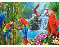 Castorland puzzel Parrot Meeting - 2000 stukjes legpuzzel.