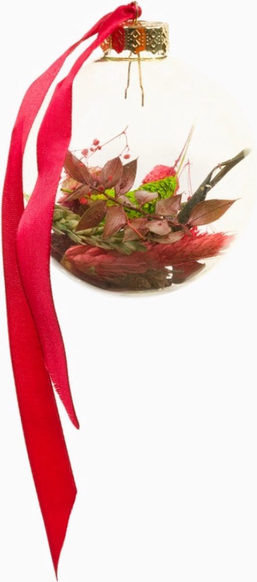 4 Glazen Droogbloemen Kerstballen Rood - 4 Stuks a Ø 9cm - Cadeau - Decoratie -Interieur - Kerstboom