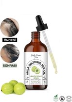 Bol.com Daily Dream Care - Amla Soothing mix oil | Haarverzorgingsolie | Healthy Scalp Serum | Vitamine C | Snelle haargroei + V... aanbieding