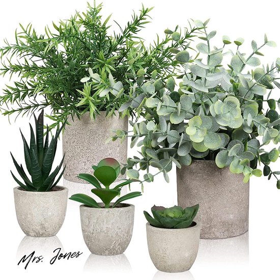 Mrs. Jones Set van 5 kunstplanten binnen schattige nepplanten decoratieve potten vetplanten plastic planten bureaudecoratie .