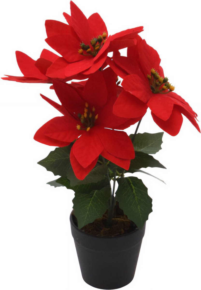 Kerstster, kunstbloem, 29 cm